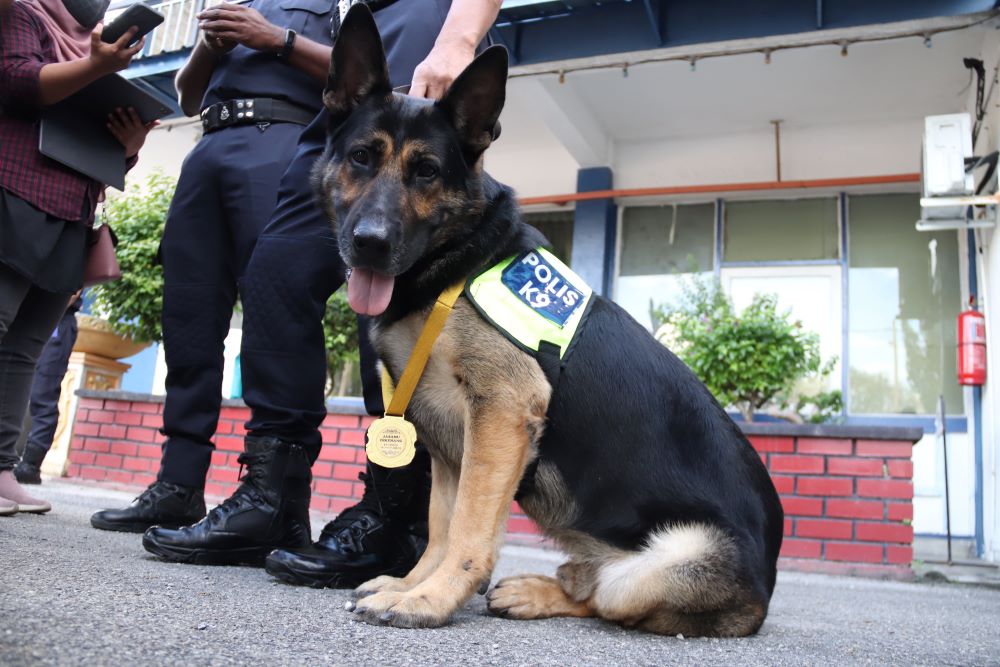 K9 bantu penugasan FRU di kawasan rusuhan