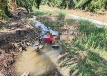 MAYAT lelaki reput tanpa pengenalan diri dijumpai dalam parit di kebun kelapa sawit di Rungkup, Bagan Datuk semalam. - UTUSAN