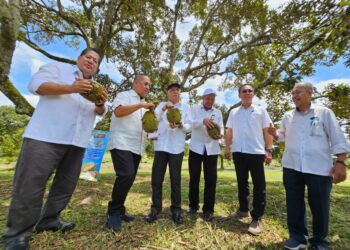 ZAMRI Yaakob (tiga dari kiri) memegang durian jenis IOI yang baru gugur di ladang milik Pasfa di Kampung Mahkota di Kuantan, Pahang. - FOTO/SHAIKH AHMAD RAZIF