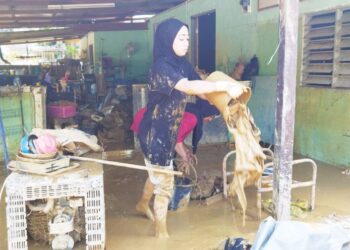 SEORANG penduduk terpaksa mengaut lumpur yang memenuhi ruang rumahnya dengan menggunakan bekas plastik kerana tiada bekalan air untuk membersihkannya setelah banjir di Kampung Iboi, Baling. -UTUSAN/NORLIA RAMLI