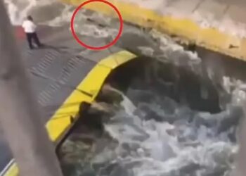 TANGKAP layar video tular menunjukkan insiden penumpang lemas berhampiran Pelabuhan Piraeus, Greece.-AGENSI