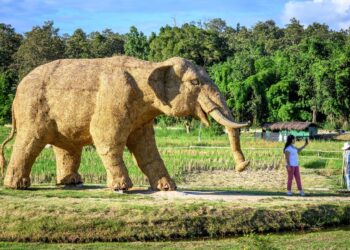 SEORANG pelancong merakam swafoto di hadapan figura gajah gergasi yang diperbuat daripada jerami padi di Chiang Mai, Thailand. - AFP