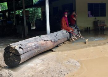 MASHITAH Ahmad duduk di atas kayu balak di depan rumahnya yang dihanyutkan arus deras banjir di Kampung Bukit Iboi, Baling, Kedah. - UTUSAN/ SHAHIR NOORDIN