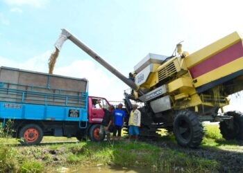 BEBERAPA pesawah melihat hasil padi dipindahkan daripada mesin ke lori sebelum dibawa ke pusat jualan padi di Kampung Alor Redis, Arau, Perlis semalam. – UTUSAN/IZLIZAN OTHMAN