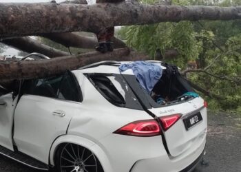 ANGGOTA bomba memotong pokok tumbang yang menghempap sebuah kereta di Taman Song Choon, Ipoh hari ini. - UTUSAN/IHSAN JBPM