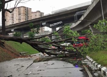 Kejadian pokok tumbang di sekitar Desa Jaya dan Bandar Menjalara,Kepong.