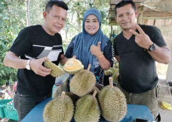 SEORANG pelanggan, Norazliza Ibrahim (tengah) bersama Zulkifly Mahmud (kiri) dan Ramli Mustapha selepas membeli Durian Premium Kampung, Damak King di Kampung Damak di Jerantut, Pahang. - FOTO/HARIS FADILAH AHMAD