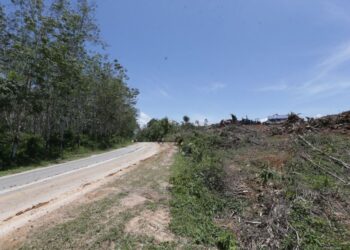 KERJA-kerja pembersihan ladang yang sedang dilakukan di Felda Lubuk Merbau, Padang Terap, Kedah. - UTUSAN/ SHAHIR NOORDIN