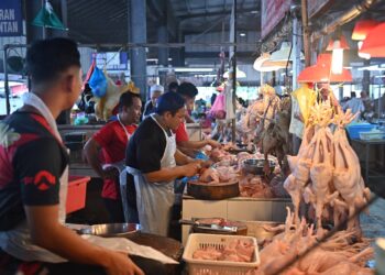 SEBAHAGIAN daripada peniaga ayam di Pasar Chabang Tiga, Kuala Terengganu, semalam. – UTUSAN/PUTRA HAIRRY ROSLI