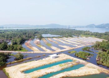 GAMBAR tinjauan udara memaparkan kawasan yang didakwa ditambak tanah di Empangan Tasik Bukit Merah di Bagan Serai, Perak. - UTUSAN/WAT KAMAL ABAS