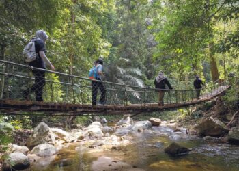 HARI Akademia 2023
disambut untuk memberi fokus tangani
perubahan iklim dan
kehilangan biologi.