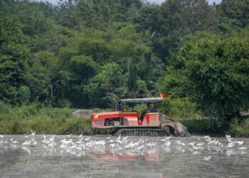 Kerajaan disaran selesaikan dahulu isu tanaman padi sebelum fokus melakukan penyelidikan.