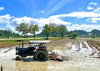 SEORANG pesawah menggunakan traktor untuk membajak tanah sawah sebelum memasuki musim baharu tanaman padi di Kampung Syed Omar, Kangar, Perlis, semalam. – UTUSAN/MOHD. HAFIZ ABD. MUTALIB