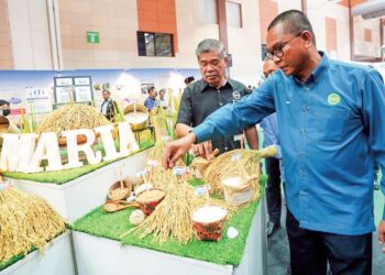 MOHAMAD Zabawi Abdul Ghani (kanan) menunjukkan kepada Menteri Pertanian dan Keterjaminan Makanan, Datuk Seri Mohamad Sabu benih padi yang dihasilkan MARDI semasa SHOWTECH MARDI 2023 di Serdang, Selangor, baru-baru ini. - IHSAN MARDI