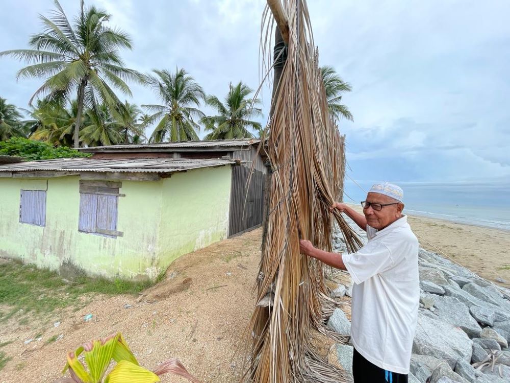 Daun kelapa jadi penghadang angin