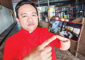 WAN SAIFUL Wan Jan menunjukkan antara hasil tinjauan dilakukan pihaknya yang disimpan dalam telefon bimbi berhubung operasi ladang babi di Kampung Selamat, Tasek Gelugor, Pulau Pinang, kelmarin. - UTUSAN/IQBAL HAMDAN