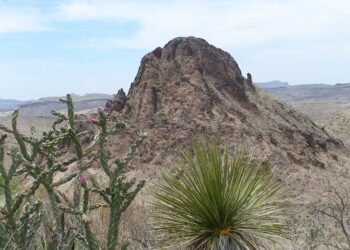 PUNCAK Solitario di taman negara Big Bend Ranch di Texas. - AGENSI