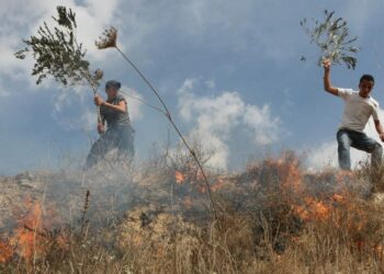 BELIA Palestin cuba memadamkan api di ladang zaitun di perkampungan Hawara,
Tebing Barat yang cuba dimusnahkan oleh peneroka dari kawasan berhampiran penempatan
Yahudi.-AFP