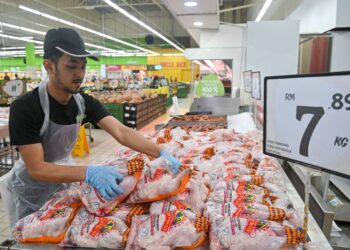 LANGKAH kerajaan mengapungkan harga ayam dapat mewujudkan persaingan sihat antara peniaga. – UTUSAN/PUQTRA HAIRRY