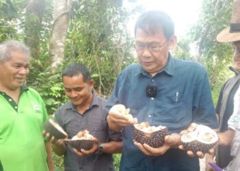 DR. ABDUL Aziz Zakaria (dua dari kanan) bersama rakan penyelidik dan penduduk sedang melihat tekstur pangsa dan isi durian kura-kura di Kampung Sengkela, Raub, hari ini. - UTUSAN/HARIS FADILAH AHMAD