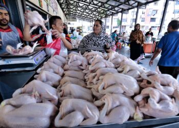 PENIAGA-peniaga ayam segar di Pasar Ampangan, Seremban melayan permintaan pembeli ketika tinjauan di pasar berkenaan baru-baru ini.-UTUSAN/MOHD. SHAHJEHAN MAAMIN.