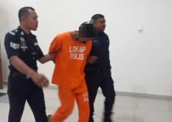 SEORANG penternak kambing didakwa di Mahkamah Majistret Muar hari ini atas kesalahan mencabul kehormatan anak tirinya yang berusia 19 tahun, Mac lalu.