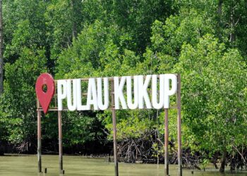 Pulau kukup adalah antara taman negara di Johor yang memerlukan pembaikan infrastruktur.