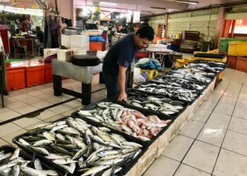 SALAHUDIN Hasanordin menyusun ikan yang dijualnya di Pasar Siti Khadijah, Kota Bharu, Kelantan-UTUSAN/ ROSLIZA MOHAMED.