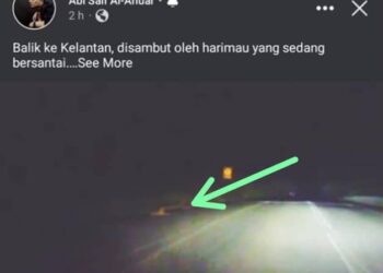 TANGKAP layar yang menunjukkan imej seekor harimau yang sedang berehat di tepi jalan Lojing-Gua Musang, Kelantan.