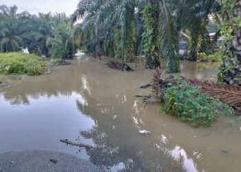 KEADAAN kawasan yang dilanda banjir di Hilir Perak. - UTUSAN