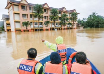 MENDAPAN sungai, projek-projek mega dan aktiviti tanah antara punca berlakunya banjir di Temerloh.