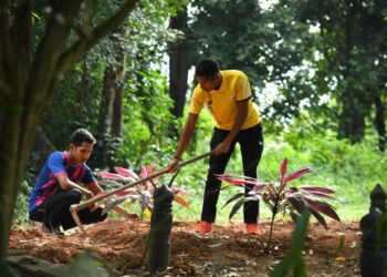 ZAIMAN Megat Abu (kanan) menziarahi pusara ayahnya yang meninggal dunia pada Isnin lalu di Tanah Perkuburan Islam Katong, Pauh, Arau, Perlis, semalam.-UTUSAN/IZLIZAN OTHMAN