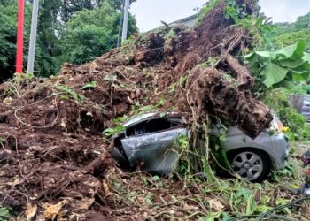 Keadaan kereta yang   dihempap pokok tumbang di Jalan Utama Kampung Lembah Jaya Utara, semalam.