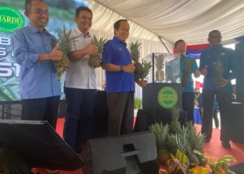 AHMAD Maslan (tiga dari kiri) melancarkan hibrid baharu nanas manis MNS2020 atau dijenamakan sebagai Nanas MS16 di Pontian, Johor. - UTUSAN