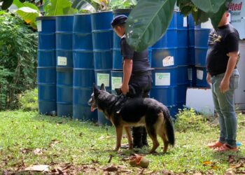 SEEKOR anjing dari Unit Anjing Pengesan (K9) dikenali Ruby ketika dibawa sekali lagi di lokasi penemuan mayat Zayn Rayyan.