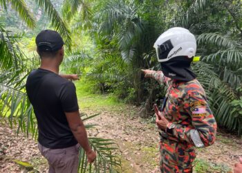 LOKASI seekor harimau belang dijumpai berhampiran sebuah kolam dekat ladang kelapa sawit di Taman Dovenby Fasa 2, Sungai Siput hari ini. - UTUSAN