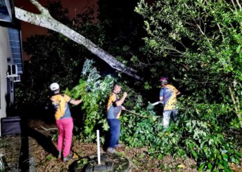 AHLI Skuad Pantas Nilai ketika memberikan bantuan kecemasan memotong pokok tumbang.