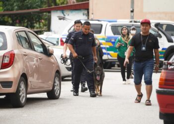 SEEKOR anjing dari Unit Anjing Pengesan (K9) dibawa ke lokasi penemuan mayat Zayn Rayyan Abdul Mattin yang berada sejauh 200 meter dari kediamannya di Apartment Idaman, Damansara Damai. - UTUSAN/FARIZ RUSADIO