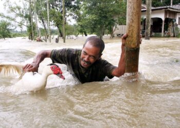 ARUS deras ketika banjir boleh membawa risiko yang tinggi terhadap nyawa manusia.