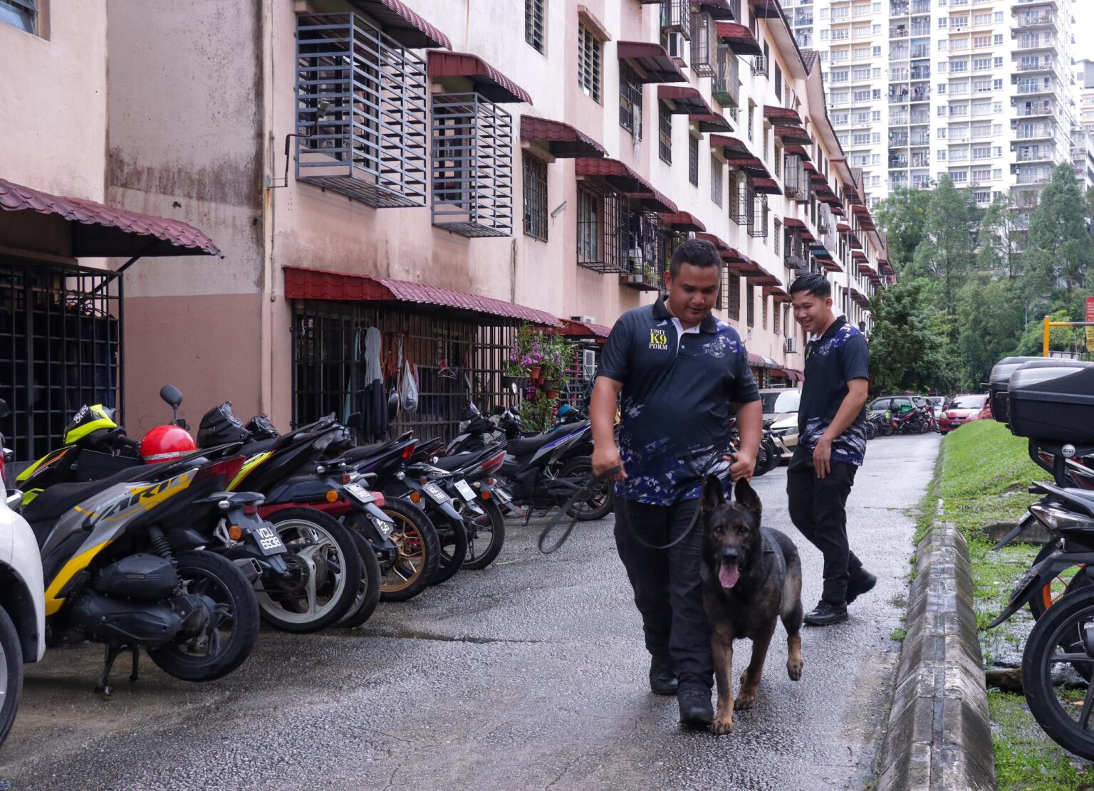 Seekor Anjing Pengesan Periksa Aras Tiga, Empat Blok R