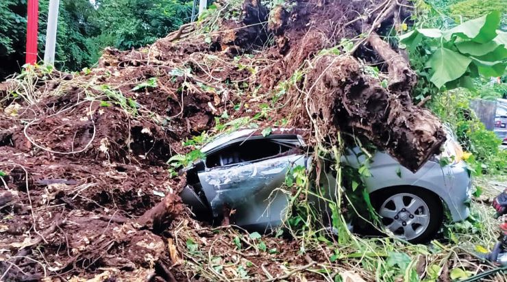 Anak saya seorang yang taat – Bapa mangsa pokok tumbang