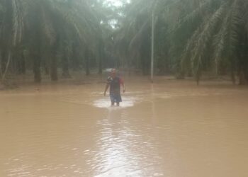 LALUAN ke Kampung Orang Asli Sedohok, Kluang ditenggelami air sehingga satu meter, menyukarkan penduduk memberi barangan keperluan ke Pekan Kahang.