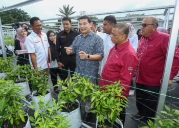 RAFIZI Ramli (tengah) melawat tapak tanaman sayur pada pelancaran projek Inisiatif Pendapatan Rakyat (IPR) - Inisiatif Usahawan Tani Wilayah Ekonomi Koridor Utara di Ulu Kinta di Ipoh hari ini. - UTUSAN/MUHAMAD NAZREEN SYAH MUSTHAFA