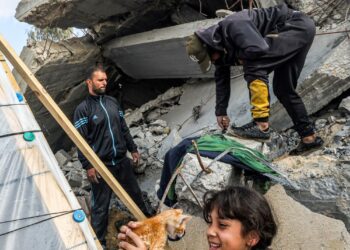 SEORANG gadis memegang anak kucing di luar khemah ketika orang lain memeriksa bangunan yang runtuh di Rafah di selatan Genting Gaza di tengah-tengah konflik berterusan antara Israel dan kumpulan militan Palestin Hamas.-AFP