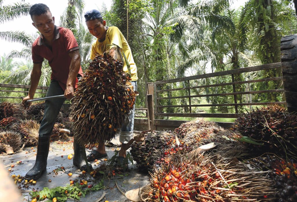 Dua Nakhoda Dalam Tanah Rancangan Felda