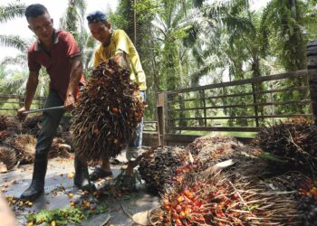 Penduduk mendakwa keputusan Felda mewujudkan kembali JKKR di 317 tanah rancangan seluruh negara akan menimbulkan polemik dalam kalangan warganya.