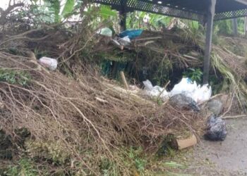 SISA kebun yang dibuang di kawasan tong sampah di hadapan sebuah sekolah di Kampung Morak, Tumpat, Kelantan semalam. UTUSAN/ IHSAN MDT