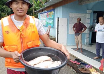 RAJA SHAHRIN Tengku Ismail serta Mohd. Firdaus Ramli menunjukkan hasil tangkapan ikan air tawar yang dikongsi dengan penghuni PPS di Balai Raya Kampung Batu Badak, Segamat.