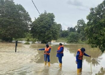 ANGGOTA APM memantau keadaan banjir di Kampung Seberang Batu Badak, Segamat.