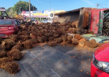 SEBUAH treler yang membawa buah kelapa sawit terbalik yang menyebabkan muatannya bertaburan di atas jalan raya dalam kejadian kemalangan di persimpangan lampu isyarat Lukut-Sepang dekat Port Dickson pagi tadi.